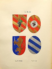 AGRESTA
                  A.f.n.c. , aggregata al N.C. nel 1426 con Nicolaus,
                  già estinta nel 1611.
                  ALBANESE
                  A.f.n.c. – R. 1431 con Hieronymus