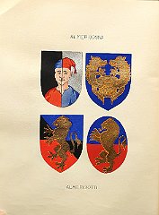 ALMERIGOGNA
                  R 1431 con Domenicus, esclusa dalle cariche pubbliche.
                  Almerico, notaio e cancelliere nel 1364; Rolando,
                  vicedomino nel 1425
                  ALMERIGOTTI
                  Risalente al sec. XII, R 1431 con Franciscus, fa parte
                  delle 13 casate. Riconosciuta da Francesco I
                  d’Austria. Un Almerigotti è presente nell’atto di
                  donazione della mensa vescovile del 1186 (?); Verzio è
                  gastaldo nel 1254; un Almerigotti è preside della
                  Compagnia della Calza nel 1493; Antonio dona il fondo
                  per la costruzione della chiesa e del convento, nel
                  1492, ai Minori Osservanti; Giorgio è professore di
                  diritto nello Studio di Padova tra il 1495 e il 1522;
                  Francesco (1729? – 1792) dottore, erudito e letterato;
                  Giovanni ( † 1792) è censore dell’Accademia dei
                  Risorti. La famiglia ha dato alla comunità molti
                  sindaci e molti notai.