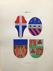 BONZIO
                  A.f.n.c. oriunda da Venezia, dove era rimasta iscritta
                  dal 1664 al 1700.
                  Giuseppe, poeta (1770).
                  BORISI
                  A.f.n.c. oriunda da Antivari e aggregata al M.C. nel
                  1617. Titolo di conti veneti concesso nel 1725 e
                  conferma di Francesco I. Feudatari della signoria di
                  privata giurisdizione di Fontane, acquistata per
                  denaro. Bernardo è maggiordomo e consigliere del
                  Voivoda di Valacchia nel 1593, detmano e generale di
                  cavalleria del Principe di Moldavia. Giacinto è
                  addetto al capitano generale da mar di Venezia nel
                  1640.