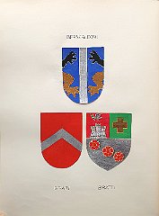 BRANCALEONI
                  A.f.n.c. già estinta nel 1611.
                  BRATI
                  Antica famiglia di origine albanese, immigrata nel
                  sec. XIV, estinta nel 1848. R 1431 con Gaspar.
                  Ser Gregorio e Sardo vivevano a Capodistria nel 1329.
                  Aggregati una prima volta nel 1423, i Brati si
                  trasferivano poi, nel 1725, a Venezia col titolo di
                  conti. Venivano aggregati nuovamente nel 1802.
                  Nel sec. XIII, il patriarca di Aquileia Gregorio di
                  Montelongo conferiva in pegno a Alberico il castello
                  di S. Giorgio in Laymis (al Quieto).
                  Anselmo e Giovanni sono vicedomini nel 1495.
                  BRATTI
                  Famiglia immigrata da S. Donà di Piave nel sec. XVIII,
                  mai aggregata al M.C.
                  Andrea, vescovo e barone del Regno Italico, cavaliere
                  della Corona di Ferro; Gio Batta, piarista e
                  professore in Collegio, considerato il maggior
                  responsabile della sommossa antiaustriaca del 1797.