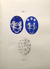 BRUNI
                  A.f.n.c. oriunda da Antivari nel sec. XVI.
                  Antonio, poeta (1611).
                  BRUTI (Brutti)
                  A.f.n.c. – Di antichissima nobiltà in Durazzo, che
                  vanta per capostipite Marco, signore della stessa
                  (1285). Venuta a Capodistria nel sec. XVI ed aggregata
                  al M.C. nel 1575. Nel 1749 la Repubblica Veneta
                  concede il titolo di conte, che Francesco I conferma.
                  Ha dato 4 vescovi: Pietro (Cattaro, 1588), Antonio
                  (Dulcigno), Giacomo (Cittanova, 1671) e Agostino ( †
                  1747) di La Canea e quindi di Capodistria.
                  Molti i dragomanni: Antonio (1446), Barnaba, cavaliere
                  di San Marco (1619), Bartolomeo (1717). La branca di
                  Bartolomeo riceve il titolo di conte nel 1717 mentre
                  quella di Agostino riceve il titolo nel 1735.
                  Letterati: Alessandro e Giova Battista.
                  Giacomo muore eroicamente a Corfù, nel 1715, col grado
                  di capitano.
                  Agostino, cavaliere dell’Ordine di S. Stefano di
                  Toscana, fu senatore del Regno Italico nel 1809, e
                  pertanto trasferito a Milano. Barnaba, podestà di
                  Capodistria nel 1814-16; il cugino Barnaba podestà nel
                  1816-18.
                  Conferma di Francesco I.