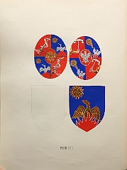 BRUTI (Brutti)
                  A.f.n.c. – Di antichissima nobiltà in Durazzo, che
                  vanta per capostipite Marco, signore della stessa
                  (1285). Venuta a Capodistria nel sec. XVI ed aggregata
                  al M.C. nel 1575. Nel 1749 la Repubblica Veneta
                  concede il titolo di conte, che Francesco I conferma.
                  Ha dato 4 vescovi: Pietro (Cattaro, 1588), Antonio
                  (Dulcigno), Giacomo (Cittanova, 1671) e Agostino ( †
                  1747) di La Canea e quindi di Capodistria.
                  Molti i dragomanni: Antonio (1446), Barnaba, cavaliere
                  di San Marco (1619), Bartolomeo (1717). La branca di
                  Bartolomeo riceve il titolo di conte nel 1717 mentre
                  quella di Agostino riceve il titolo nel 1735.
                  Letterati: Alessandro e Giova Battista.
                  Giacomo muore eroicamente a Corfù, nel 1715, col grado
                  di capitano.
                  Agostino, cavaliere dell’Ordine di S. Stefano di
                  Toscana, fu senatore del Regno Italico nel 1809, e
                  pertanto trasferito a Milano. Barnaba, podestà di
                  Capodistria nel 1814-16; il cugino Barnaba podestà nel
                  1816-18.
                  Conferma di Francesco I.