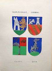 CADOBRIO
                  Antica famiglia già estinta nel 1611.
                  CALAFATI
                  Famiglia oriunda della Dalmazia ed aggregata nel 1802
                  con Angelo, sindaco deputato, preside provvisorio
                  dell’Istria, presidente della Deputazione per
                  l’Illirio, intendente della provincia di Trieste,
                  Gorizia ed Istria, cavaliere della Corona di Ferro,
                  Ufficiale Aquila d’Oro della Legion d’Onore, barone
                  del Regno d’Italia (dal 1811). Morto a Capodistria nel
                  1822.
                  CANDI
                  Famiglia oriunda da Padova, già estinta nel 1611.
                  Hieronymus, notaio nel 1485.