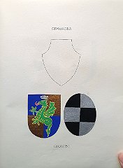 GRAVAGNA
                  Funzionario austriaco aggregato al M.C. nel 1802.
                  GRAVISI
                  A.f.n.c. aggregata al M.C. nel 1465, oriunda della
                  Toscana ma da tempo dimorante in Pirano (Domenico,
                  1339).
                  Nicolò, capitano a Padova, scopre una congiura e viene
                  premiato con la signoria di privata giurisdizione di
                  Pietrapelosa. La famiglia viene fregiata del
                  marchesato veneto nel 1662, viene considerata la più
                  illustre dell’Istria e riceve la conferma da Francesco
                  I.
                  Dopo la morte del capostipite Nicolò, la famiglia si
                  divide in 4 rami, e il ramo primogenito si stabilisce
                  in Capodistria, dove raccoglie le eredità dei
                  Barbabianca e dei Bocchina. Ha dato molti uomini
                  d’arme, letterati ed eruditi.
                  Vanto è castellano di Castelnuovo nel 1479; Michele ha
                  un grado nella guerra del 1509; Pietro, sopracomito,
                  combatte contro i Turchi nel 1571; diversi membri sono
                  stati barbaramente trucidati dagli Uscocchi nel 1613.
                  Lucrezio è cavaliere del re di Polonia Sigismondo III
                  nel 1588; Giovanni Battista prende parte alla
                  battaglia di Pavia nel 1525; Gravise è governatore di
                  Corfù nel 1651; Giovanni è cavaliere di Malta nel
                  1592; Leandro ( † 1720) è comandante della guardia del
                  principe elettore di Baviera; Dionisio è poeta e
                  commediografo di belle speranze, morto troppo giovane;
                  Girolamo è storiografo e studioso della lingua
                  italiana. Alcuni membri prendono parte alle guerre per
                  l’indipendenza d’Italia.