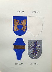 MODENA
                  Nobile famiglia friulana aggregata al M.C. nel 1802.
                  Fregiata del titolo comitale nel 1739, è stata
                  confermata da Francesco I.
                  MORESCHI
                  Ramo dell’omonima famiglia veneziana aggregato al M.C.
                  nel 1802.
                  MOROSINI
                  Ramo dell’omonima famiglia veneziana fregiata del
                  titolo comitale nel 1720 e aggregata al M.C. nel 1802.
                  MOSTO
                  Famiglia veneziana aggregata al M.C. nel 1802 con
                  Andrea.