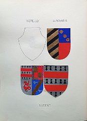 NEDELLO
                  A.f.c. , R 1431 con Michael.
                  NOVARIA
                  NUGENT
                  Aggregata nel 1813 col co Laval de Nugent, generale
                  della c.r. armata austriaca. La famiglia è iscritta
                  pure nell’elenco ufficiale della nobiltà italiana.