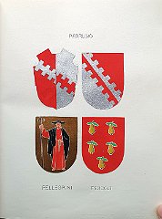 PEDRUSIO
                  A.f.n.c. , R 1431 con Petrus, già estinta nel 1611.
                  Altro Petrus è vicedomino nel 1535.
                  PELLEGRINI
                  A.f.n.c. , R 1431 con Bernardus, citata dal Manzuoli
                  come già estinta.
                  Nicolò e Giovanni appaiono tra i compromessi nella
                  rivolta del 1348; Santo è capitano del Patriarca a
                  Udine nel 1384; Giuseppe è podestà di Capodistria nel
                  1874-76 e nel 1879.