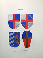 PETRONIO
                  Antichissima famiglia di Pirano, un ramo della quale
                  trovasi in R 1431 con Dominicus, insignita della
                  dignità del comitato del S.R.I. dal sec. XV. Aggregata
                  al M.C. nel 1429, si estingue nel sec. XIX.
                  Bartolomeo è professore di medicina in Padova nel
                  1517. Prospero, membro dell’Accademia dei Risorti, è
                  medico in patria e a Trieste e lascia le “Memorie
                  istoriche sacre e profane dell’Istria” (1680). Nicolò
                  è sindaco dello Studio di Padova (precisamente è del
                  ramo di Pirano insignito nel 1662 del comitato
                  veneto).
                  PIZZAMANO
                  Antica famiglia veneta oriunda di Boemia, aggregata al
                  M.C. nel 1802, insignita del comitato austriaco dal
                  1860.