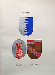 PONZELLO
                  Antica famiglia esistente nel sec. XVI, già estinta
                  nel 1611.
                  Leazario è vicedomino dal 1391 al 1422.
                  RAVENNA
                  R 1431 con Johannes. Già estinta nel 1611.