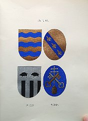 RIVA (da)
                  Antica famiglia veneta, R 1431 con Jacobus de Ripa.
                  RIZZI
                  Famiglia già estinta nel 1611.
                  ROMA
                  A.f.n.c. , R 1431 con Johannes, estinta nel 1584.