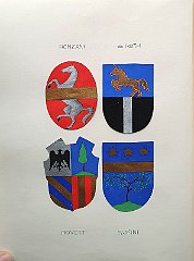 RONZANI
                  Famiglia estinta nel 1593.
                  ROTH (de)
                  Famiglia austriaca aggregata nel 1802 vn Filippo,
                  reggente il primo governo provvisorio c.r.
                  dell’Istria, morto a Capodistria nel 1804.
                  ROVETTI
                  Rovedo. A.f.n.c., R 1431 con Jacobus. RUFINI
                  Famiglia aggregata al M.C. nel 1670 grazie all’esborso
                  di 1200 ducati a favore del Nobile Collegio, estinta
                  nel secolo seguente.