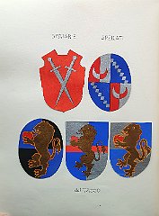 SPELLATI
                  Speladi. Una delle famiglie più nobili e antiche della
                  città, risalente al sec. XIII. R 1431 con Nicolaus. Si
                  è trasferita a Pordenone nel 1770. Altro ramo si era
                  trasferito a Treviso nel 1371. Confermata da Francesco
                  I.
                  Francesco e Giovanni compaiono tra i compromessi nella
                  rivolta del 1348; Percivalle si distingue alla presa
                  di Candia nel 1366 conseguendo la cittadinanza veneta;
                  Nicolò è ambasciatore nel 1675; altro Nicolò è
                  cavaliere di Malta nel 1679.
                  TACCO (del)
                  Ottaccio, Otacio. A.f.n.c. di cui si ha notizia nel
                  1386, R 1431, estinta nel 1866. Fregiata del titolo
                  comitale nel 1735 e confermata da Francesco I.
                  Pietro è compromesso nella rivolta del 1348; Giacomo,
                  Bertuccio e Rantolfo sono letterati nel sec. XVI;
                  altro Bertuccio è conestabile dei balestrieri di Raspo
                  nel 1414; Gian Domenico è sopracomito della galea
                  capodistriana “Liona con Mazza” alla battaglia di
                  Lepanto nel 1571; Giuseppe è colonnello nel 1695;
                  Francesco e Girolamo sono provveditori ai confini nel
                  1706.