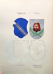 TEOFANIO
                  Tofani. A.f.c nota nel 1303.
                  TESTA
                  A.f.n.c. già estinta nel 1611.
                  THEYLS
                  Famiglia residente a Capodistria ancora al tempo della
                  Repubblica Veneta e aggregata al M.C. nel 1802.
                  TORNIELLO de NOVARIA
                  A.f.n.c. già estinta nel sec. XVI, che ha dato molti
                  religiosi nell’Ordine dei Servi.