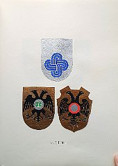 VITTORI
                  A.f.n.c. , capostipite Simone (1329). Confermata da
                  Francesco I, si è estinta nel 1855.
                  Un ramo è emigrato a Corfù nel 1373 soccombendo nella
                  lotta coi Verzi, dando origine alla famiglia dei conti
                  Capodistria. Antonio è tra i 4 giudici del trattato
                  con Gorizia (1419); Omobono è cancelliere grande
                  presso il nunzio veneziano a Milano.