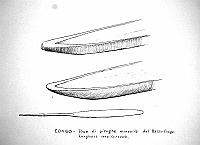  Congo - prue di piroghe monoxile del Basso Congo di lunghezza considervole